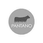 Pantano